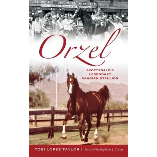 Orzel: Scottsdale's Legendary Arabian Stallion
