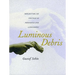 Luminous Debris: Reflecting on Vestige in Provence and Languedoc