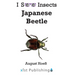 Japanese Beetle