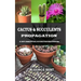 Cactus & Succulents Propagation: A 100% Essential Guide for Beginners