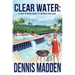 Clear Water: A Pool Owner's Guide To Trouble Free Care