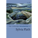 The Cambridge Introduction to Sylvia Plath