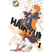 Haikyu!!, Vol. 1