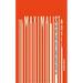 The Maximalist Novel: From Thomas Pynchon's Gravity's Rainbow to Roberto Bolano's 2666