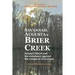 Savannah, Augusta & Brier Creek: Samuel Elbert and his resistance against the conquest of Georgia