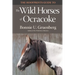 The Hoofprints Guide to the Wild Horses of Ocracoke Island, NC