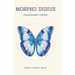 Morpho Didius