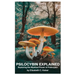Psilocybin Explained: Exploring the Mystical Power of Psilocybin