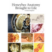Honeybee Anatomy Brought to Life