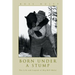 Born Under A Stump: The Life and Legend of Big Bill Hulet