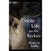 Wild Life on the Rockies