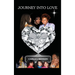 Journey Into Love