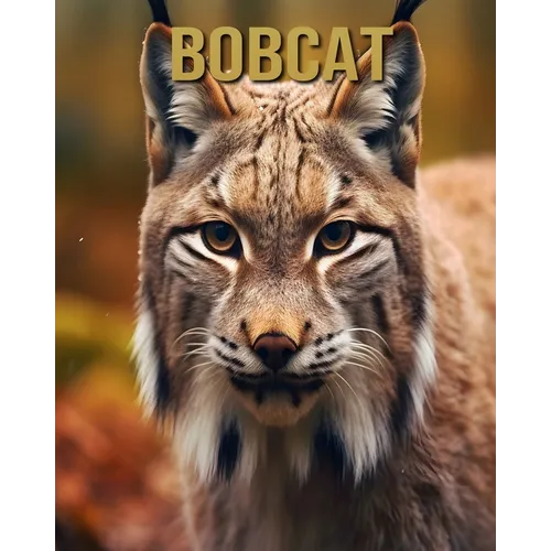 Bobcat: Amazing Picture and Facts About Bobcat for Children's