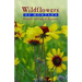 Wildflowers of Montana