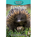 Echidnas
