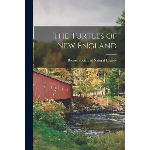 The Turtles of New England