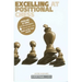 Excelling at Positional Chess
