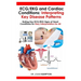 ECG/EKG and Cardiac Conditions: Interpreting Key Disease Patterns: Noting Key ECG/EKG Signs of Heart Conditions for Easy Interpretation for All