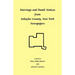 Marriage and Death Notices from Schuyler County, New York Newspapers