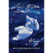 Seer's Wisdom: Guidance for Spiritual Mastery