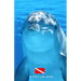 Diver's Log Book: scuba diving log book 100 dives