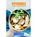 Peyronie's Disease: A Beginner's Quick Start Overview and Guide on Managing the Condition through Nutrition, With Sample Recipes