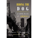 Riding the Dog: A Look Back at America