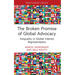 The Broken Promise of Global Advocacy: Inequality in Global Interest Representation