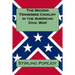 The Second Tennessee Cavalry in the American Civil War