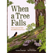 When a Tree Falls: Nurse Logs and Their Incredible Forest Power