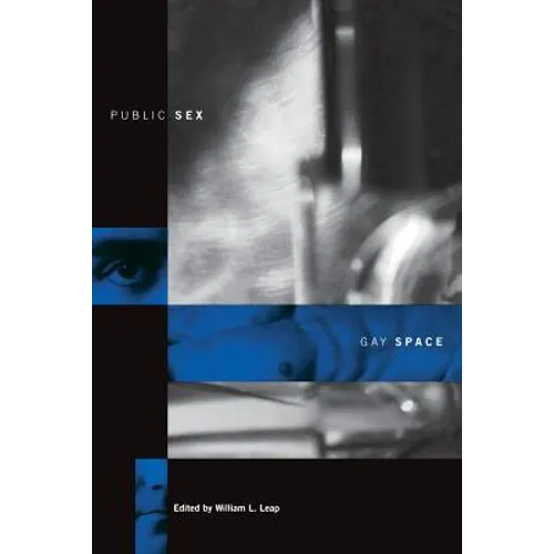 Public Sex/Gay Space