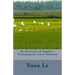 In Pursuit of Smile - Vietnamese Love Stories