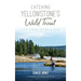 Catching Yellowstone's Wild Trout: A Fly-Fishing History and Guide