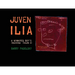 Juvenilia: A Winnipeg Boy's Imaginings (Volume 4)