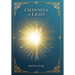Channels of Light: Awakening Your Divine Purpose in a World That Needs Your Light