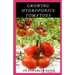 Growing Hydroponics Tomatoes: Easy Step by Step Guide To Growing Tomatoes Hydroponically