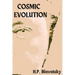 Cosmic Evolution