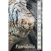 Pareidolia
