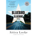 Bluebird, Bluebird