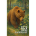 Why the Bear Loves Blackberries And Other Bilingual Dutch-English Children's Stories for Beginners