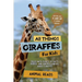 All Things Giraffes For Kids: Filled With Plenty of Facts, Photos, and Fun to Learn all About Giraffes