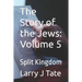 The Story of the Jews: Volume 5: Split Kingdom
