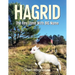 Hagrid The Tiny Lamb With The Big Name