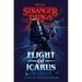 Stranger Things: Flight of Icarus