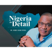Nigeria in Detail: An X-ray of Burning Issues and the Way Forward