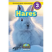 Hares: Animals That Make a Difference! (Engaging Readers, Level 3)