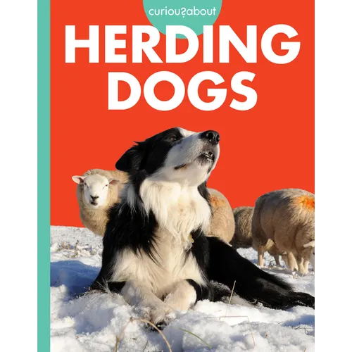 Curious about Herding Dogs