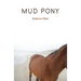 Mud Pony
