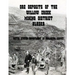 Ore Deposits of the Willow Creek Mining District, Alaska