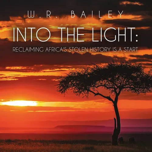Into the Light: Reclaiming Africa's Stolen History Is a Start